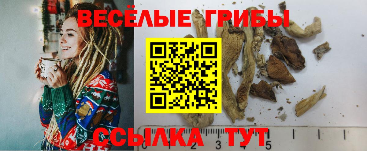 Павлово  Псилоцибиновые грибы прущие грибы  Вход с VPN 
