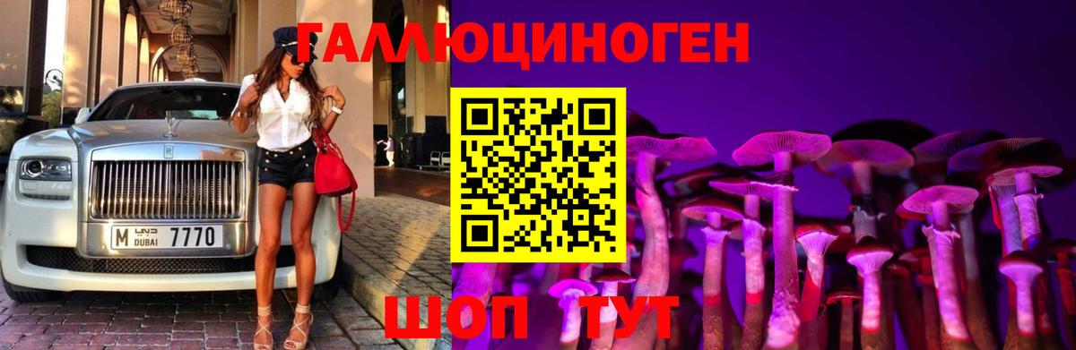 Псилоцибиновые грибы мицелий Павлово